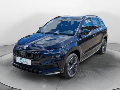Skoda Karoq 2.0 tdi 116 ch scr dsg7
