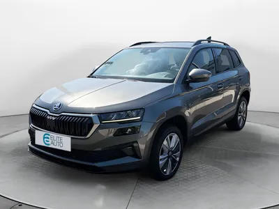 Skoda Karoq 2.0 tdi 116 ch scr dsg7
