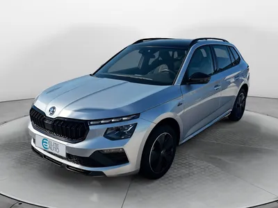 Skoda Kamiq 1.0 tsi evo 2 116 ch dsg7