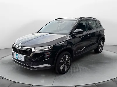 Skoda Karoq 2.0 tdi 116 ch scr dsg7