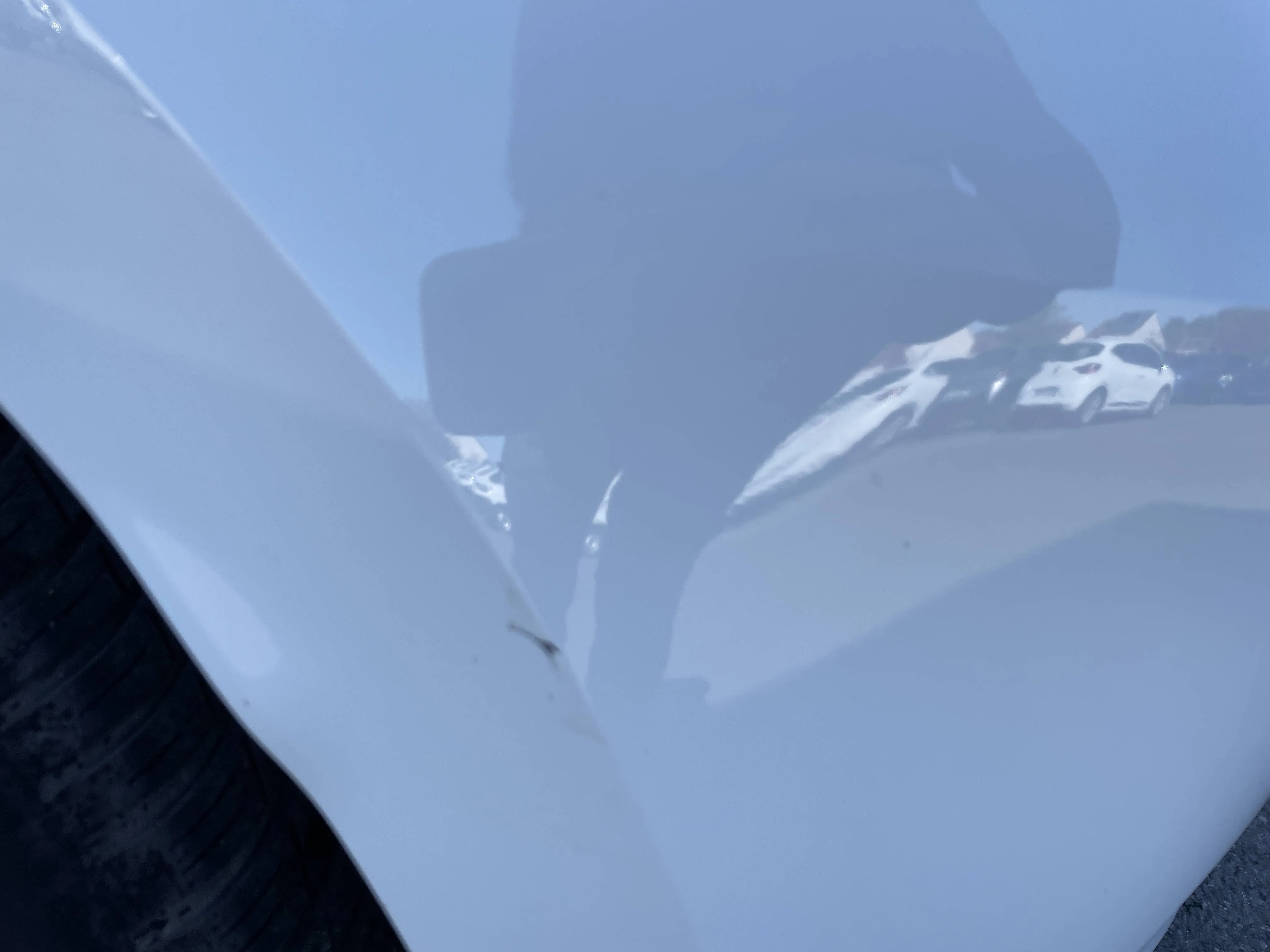 Acheter une renault CLIO SOCIETE BLUE DCI 85 d’occasion avec 46836km disponible immédiatement - photo 26